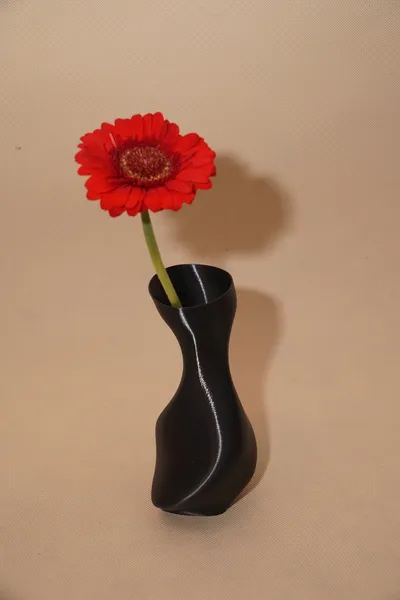 gallery_alt_vase_black_flower
